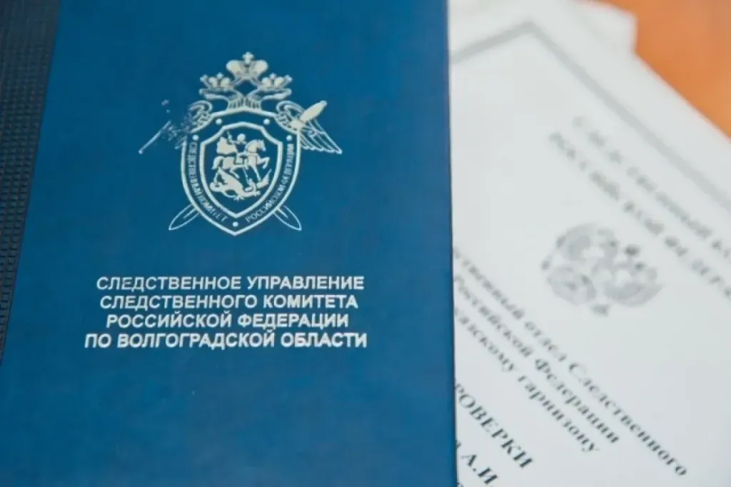Глава СК взял на контроль дело о гибели двойни при родах в Волгограде