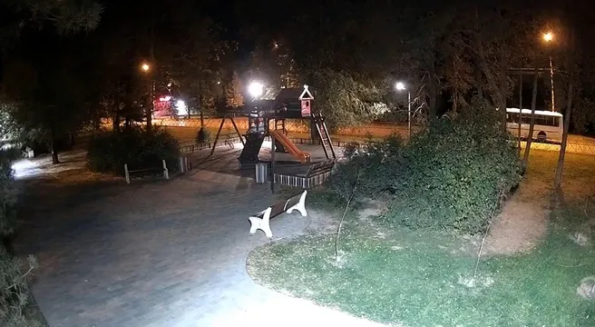 В Волжском женщина вернула украденные детские качели в сквер