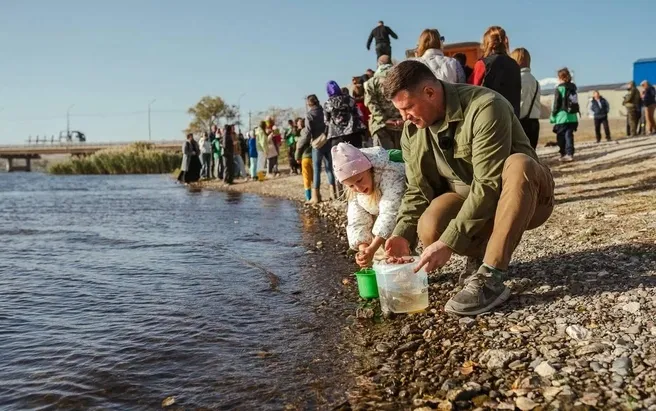 В Дубовском районе в Волгу выпустили 100 тысяч мальков