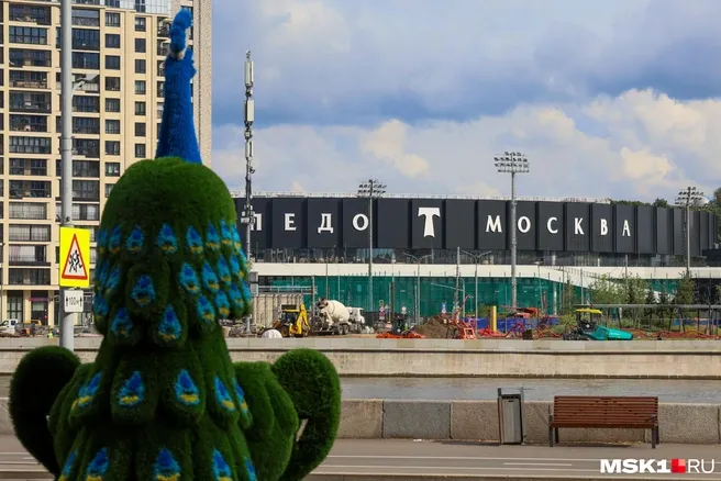 «Торпедо» примет «Ротор» на «Арене Химки»