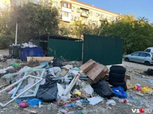 Администрация Волгограда пообещала убрать свалку у «Дома малютки»