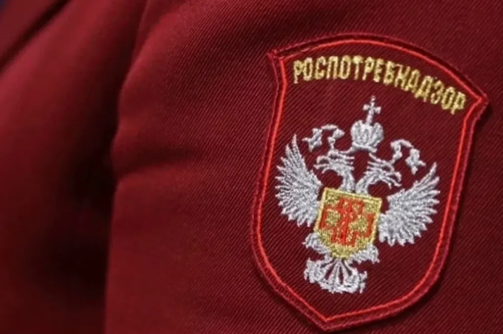 Волгоградцы пожаловались в Роспотребнадзор на крыс и протечки крыш