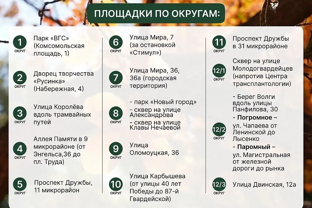 В Волжском 31 октября пройдёт общегородской субботник