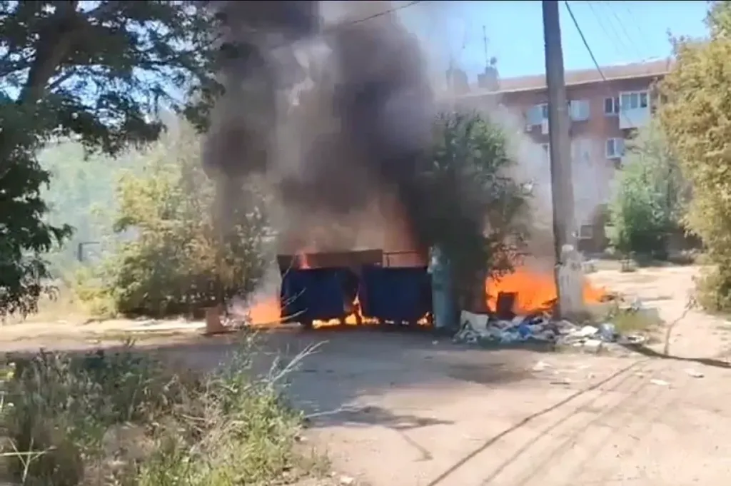 Жители Городища жалуются на свалки и крыс у школы и детсада