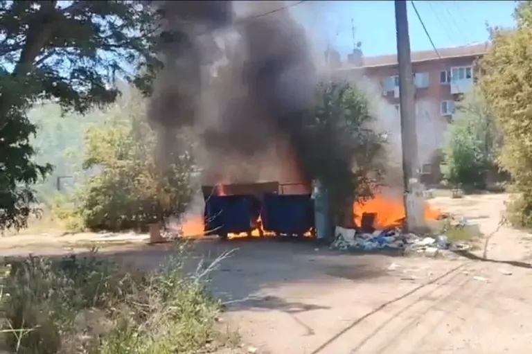 Жители Городища жалуются на свалки и крыс у школы и детсада
