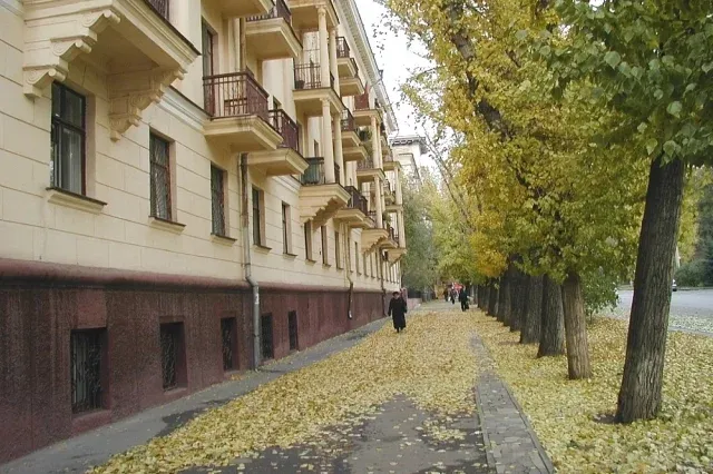 В Волжском выделят 1,6 млн рублей на отлов бездомных собак