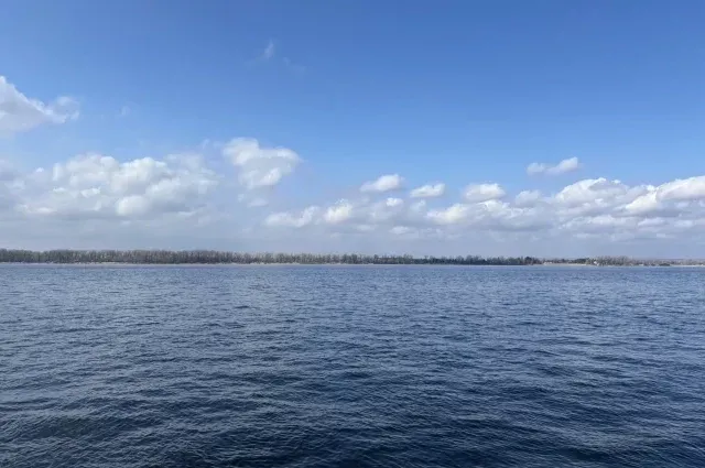 Жители Камышина вторые сутки жалуются на едкий смрад в городе